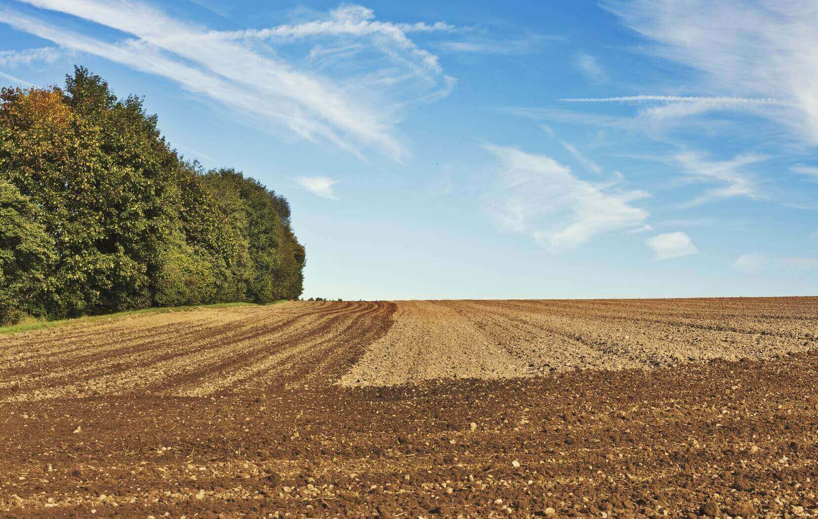 Agriculture